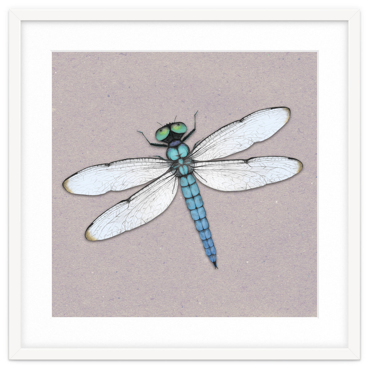 Blue dragonfly