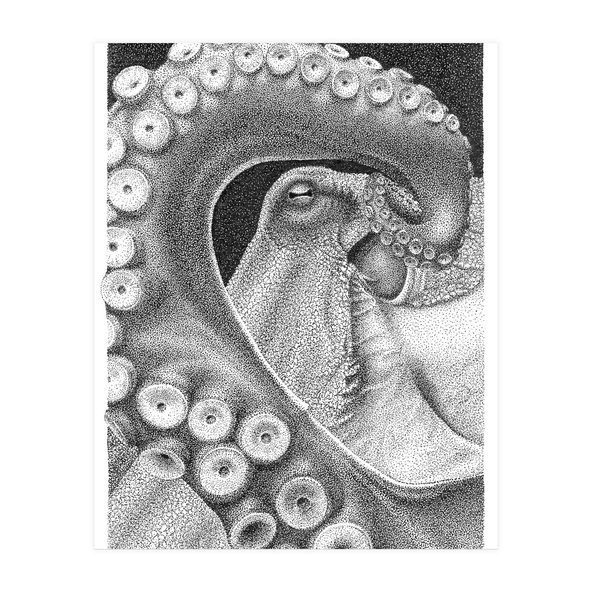 Octopus no. 1 (Print Only)