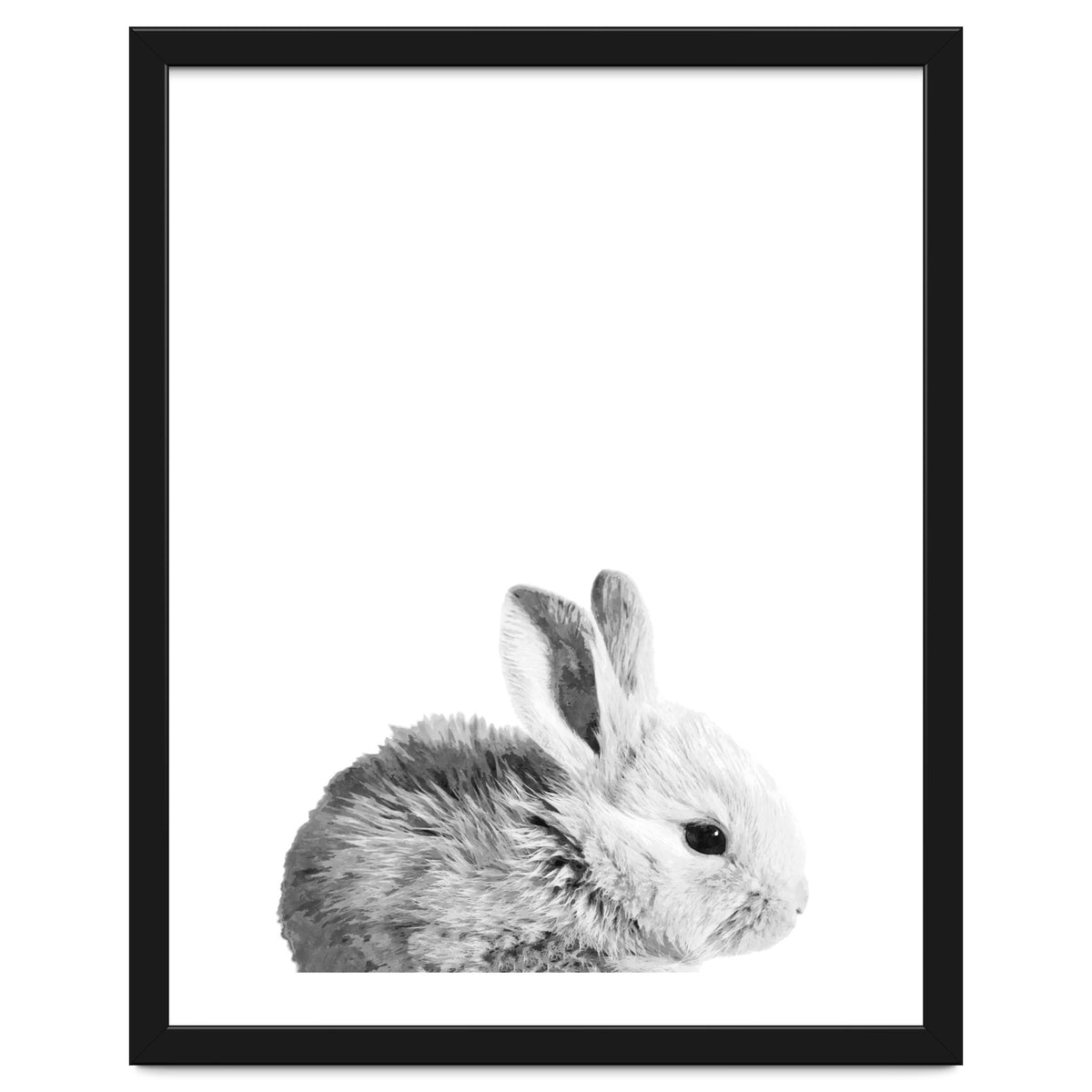 Black and White Bunny Portrait