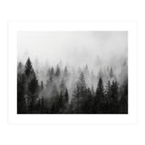 Black and White Forest (Print Only) thumbnail