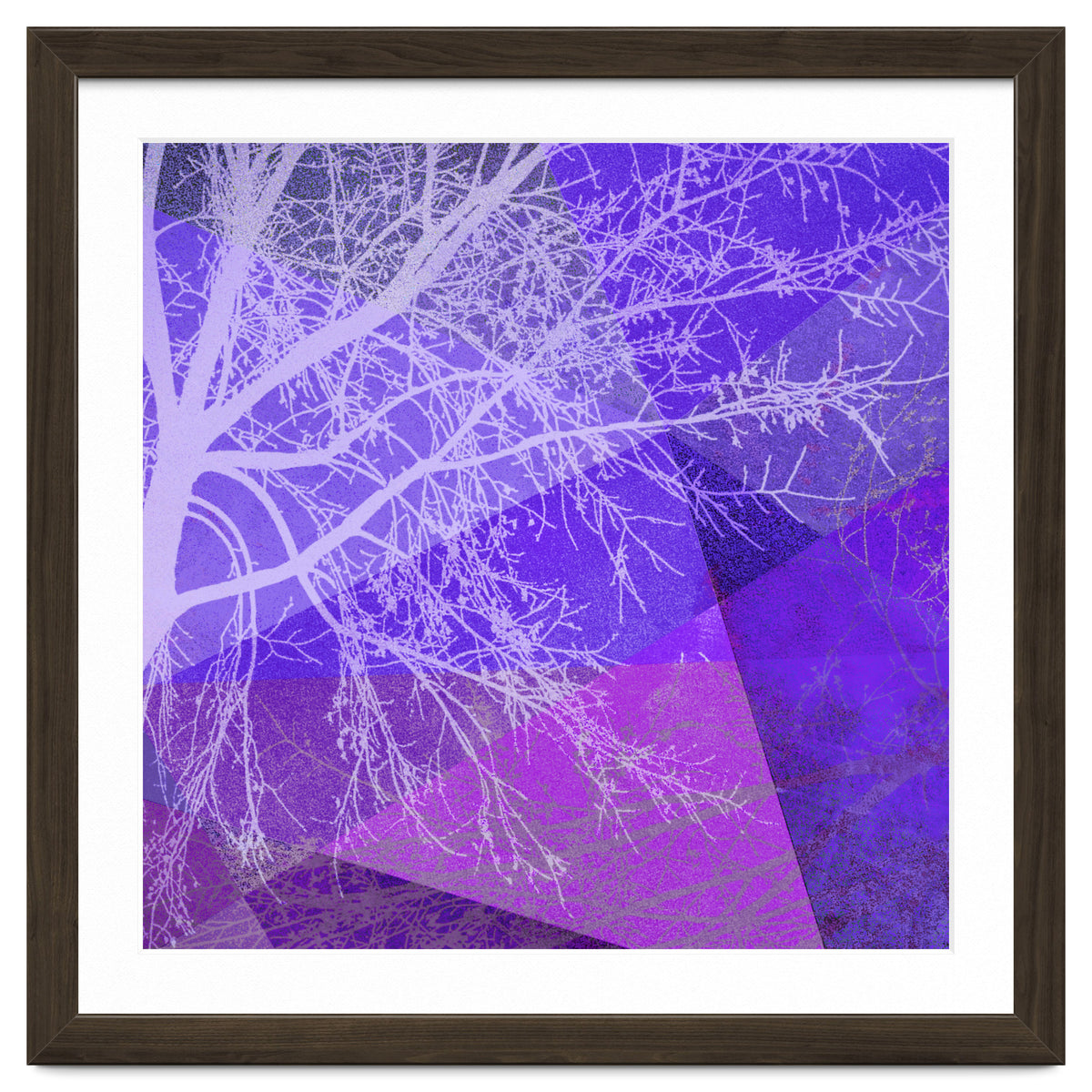 P19-D2 Trees and Triangles