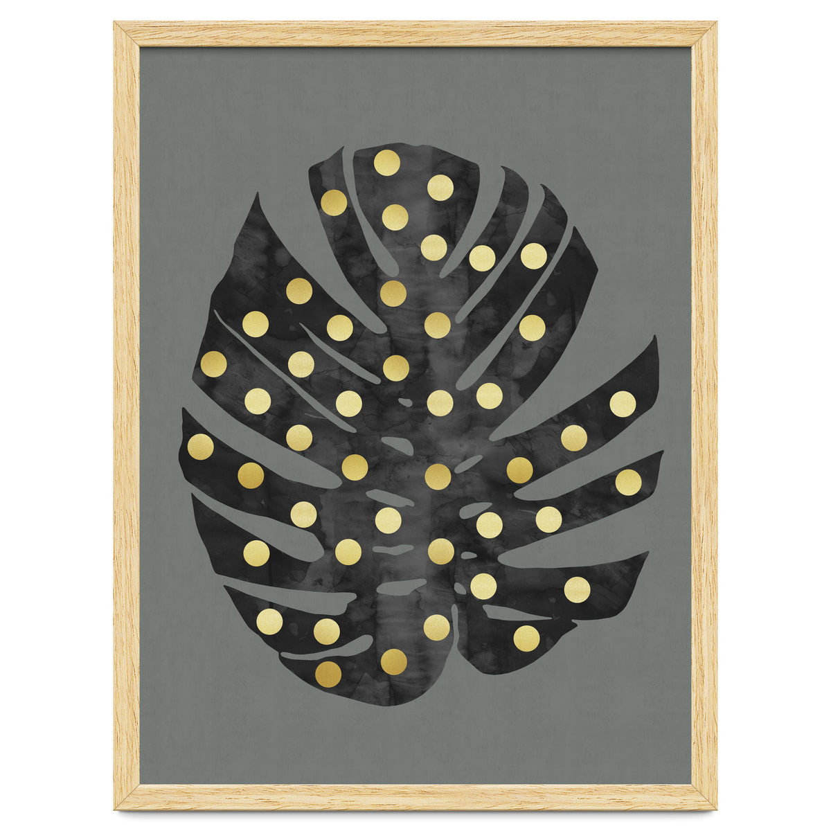 Monstera Deliciosa V