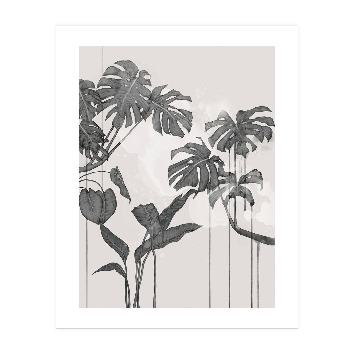 Foliage Grey (Print Only)