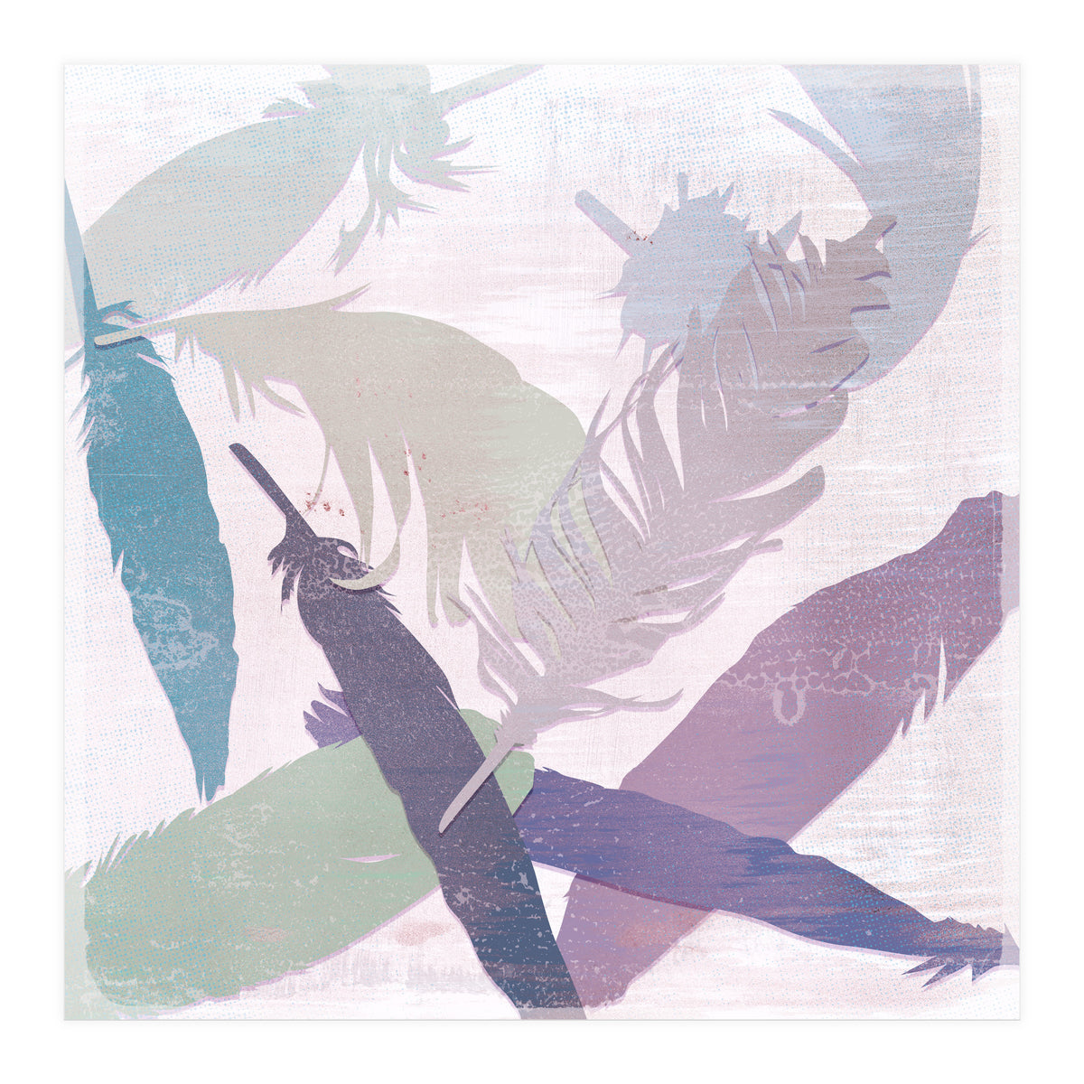 Feathers (Print Only)