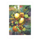 Apples on a branch (Print Only) thumbnail