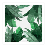 Tropical Palm Print (Print Only) thumbnail