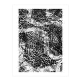 Sampa II (Print Only) thumbnail
