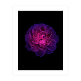 Blooming Nature (Print Only) thumbnail