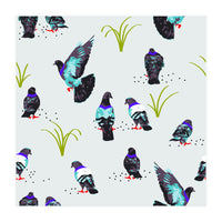 Pigeons (Print Only)