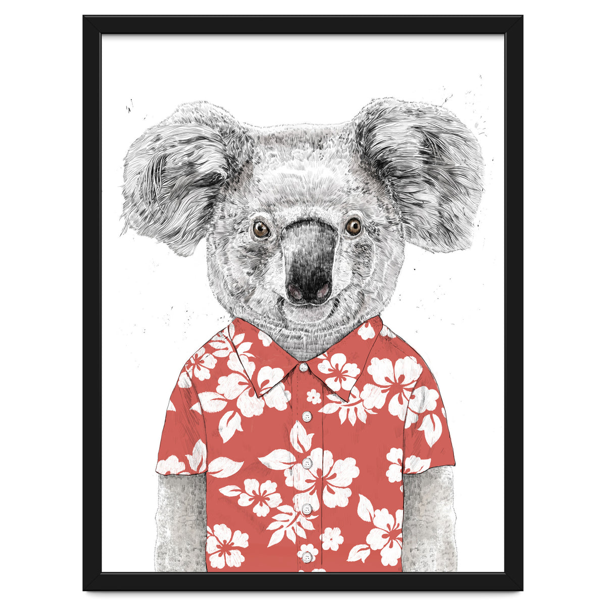 Summer Koala