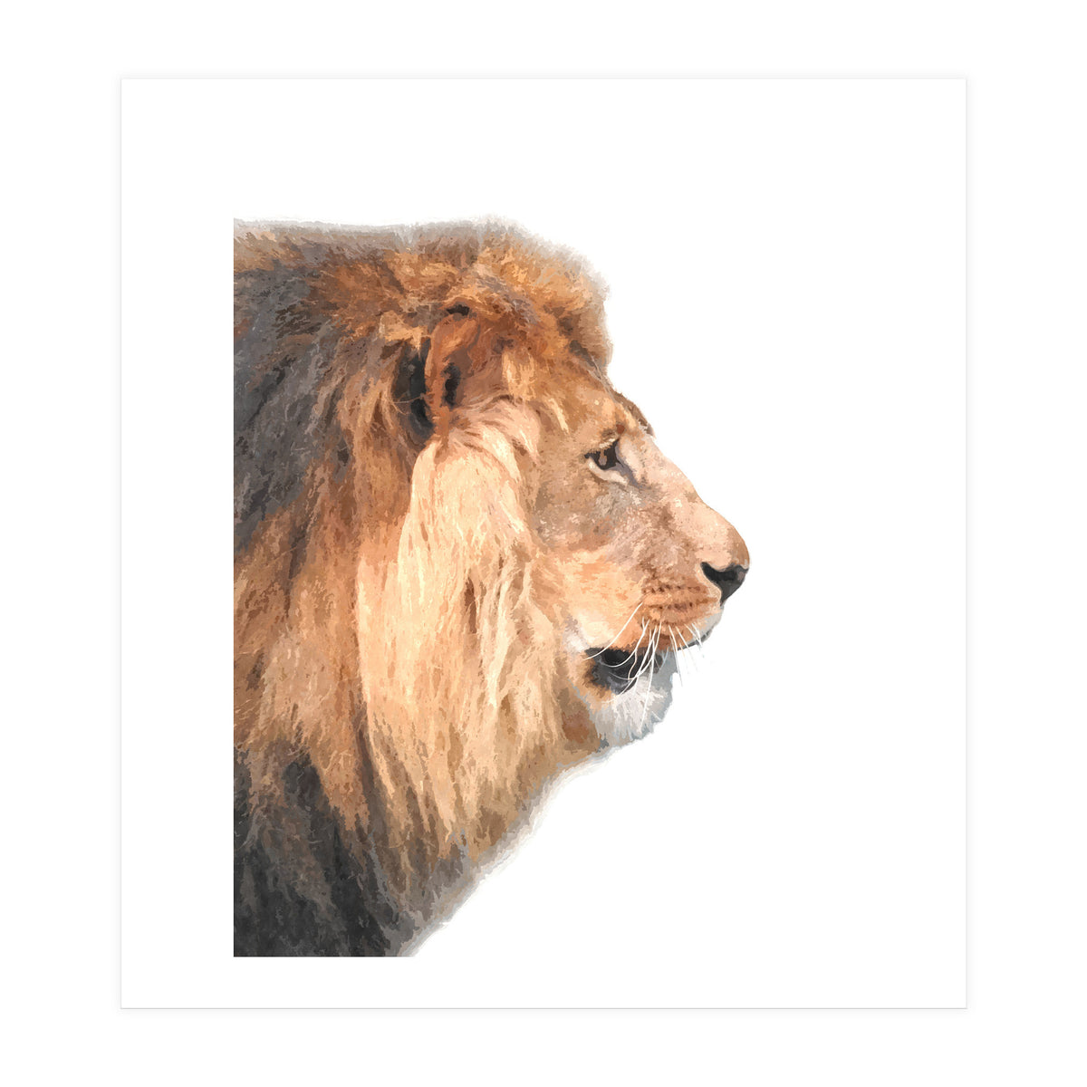 Lion Profile (Print Only)