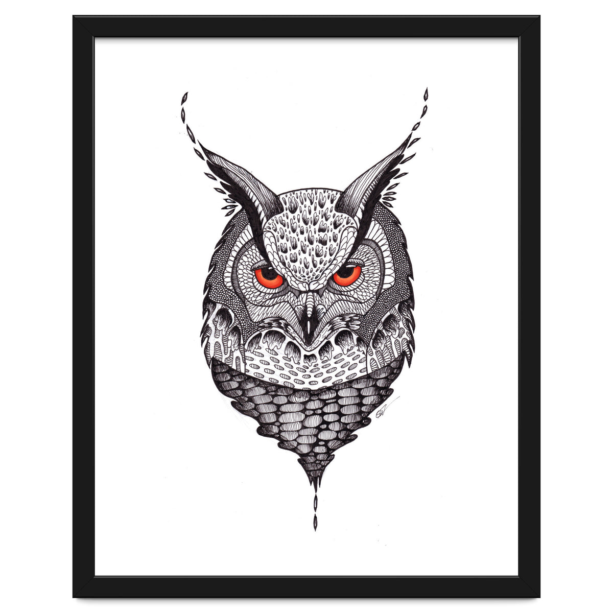 Owl