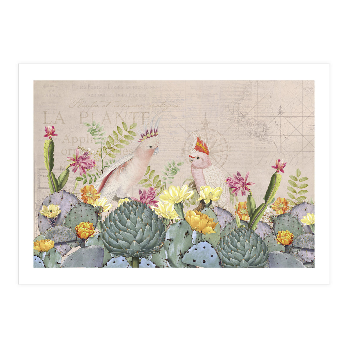 Desert Cockatoos (Print Only)