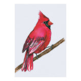 A Northern cardinal watercolor (Print Only) thumbnail