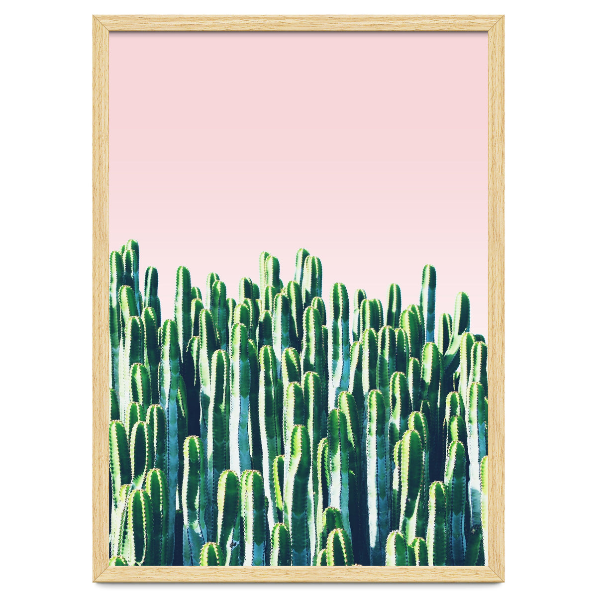 Cactus & Sunset I