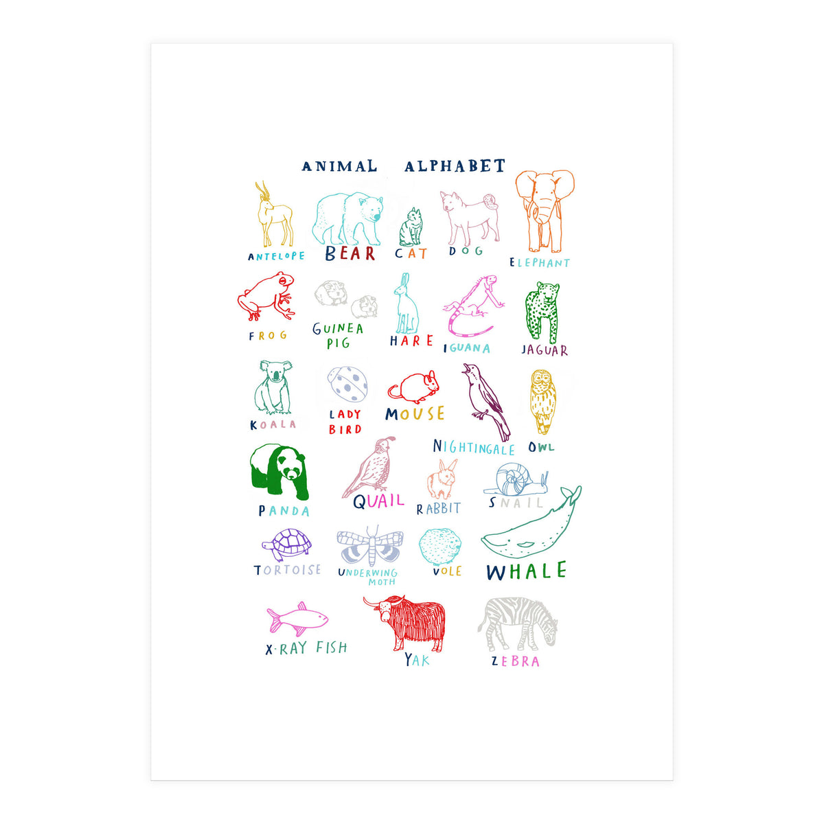 ABC Animals (Print Only)