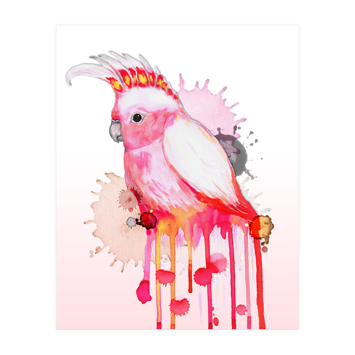 Major Mitchell's cockatoo (Print Only)