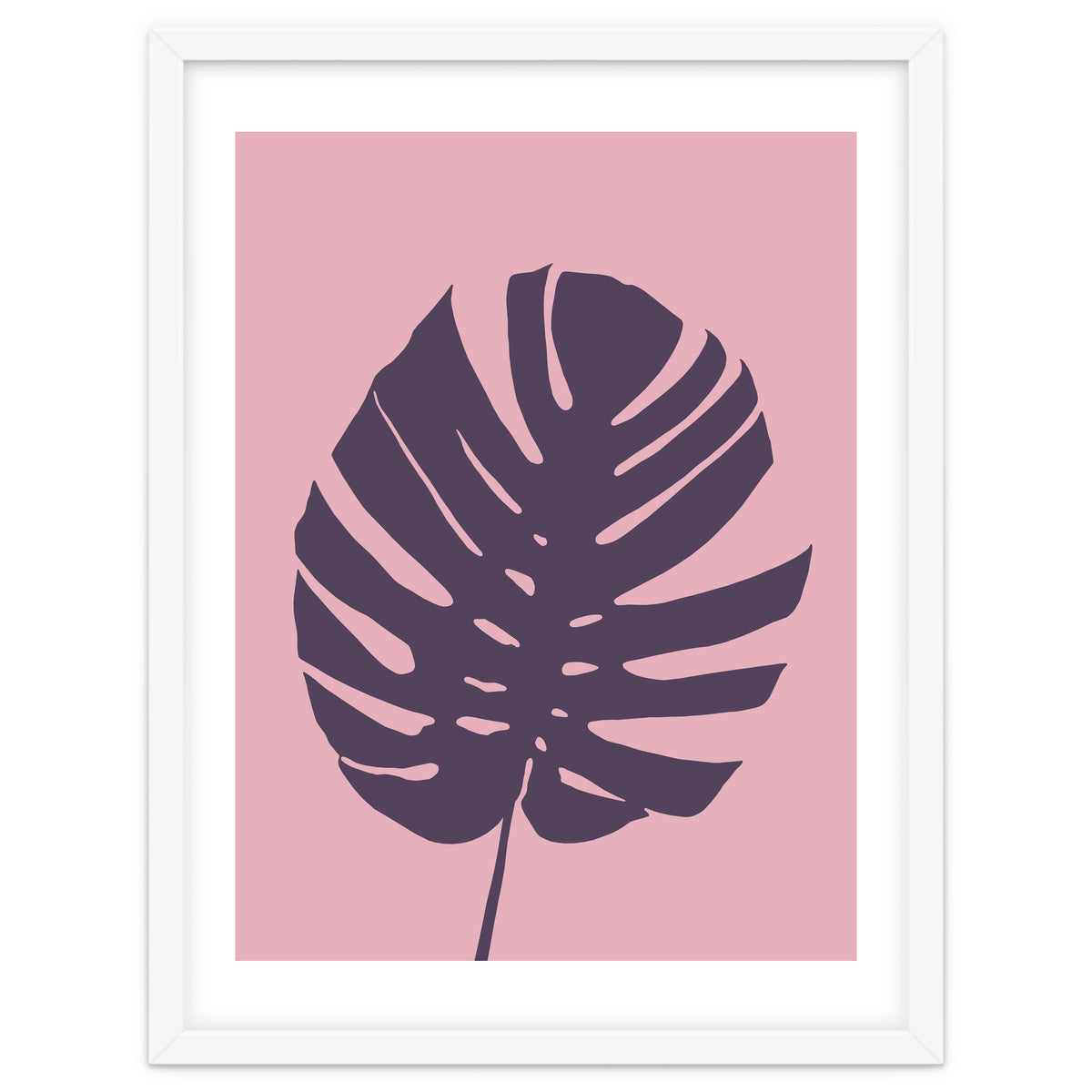 Monstera Deliciosa III