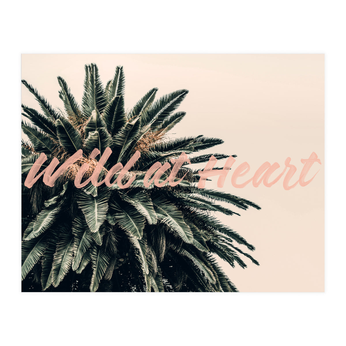 Wild At Heart (Print Only)