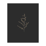 Dainty Botanicals in Gold and Black (Print Only) thumbnail