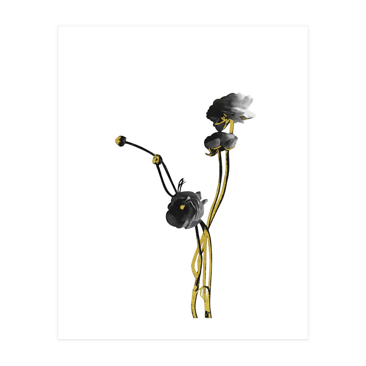 Flower Minimal Black And Gold 04 (Print Only)