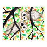Two curious owls (Print Only) thumbnail