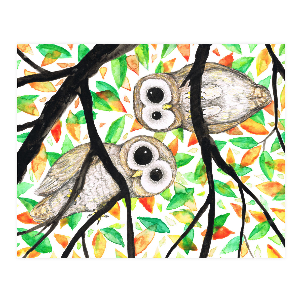 Two curious owls (Print Only)