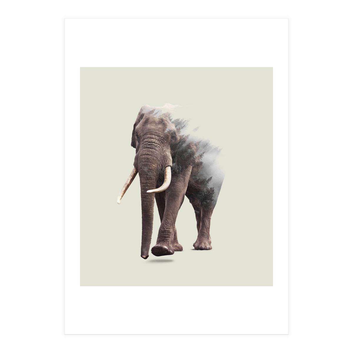 Elephantastic (Print Only)