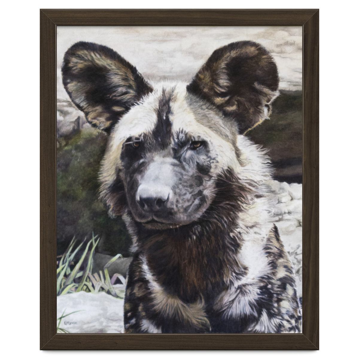 African Painted Dog II