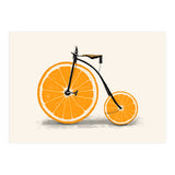 Vitamin (Print Only) thumbnail