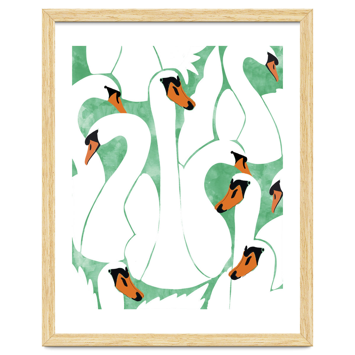 White Calm Was Born Into A Swan