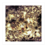 Demolition (Print Only) thumbnail