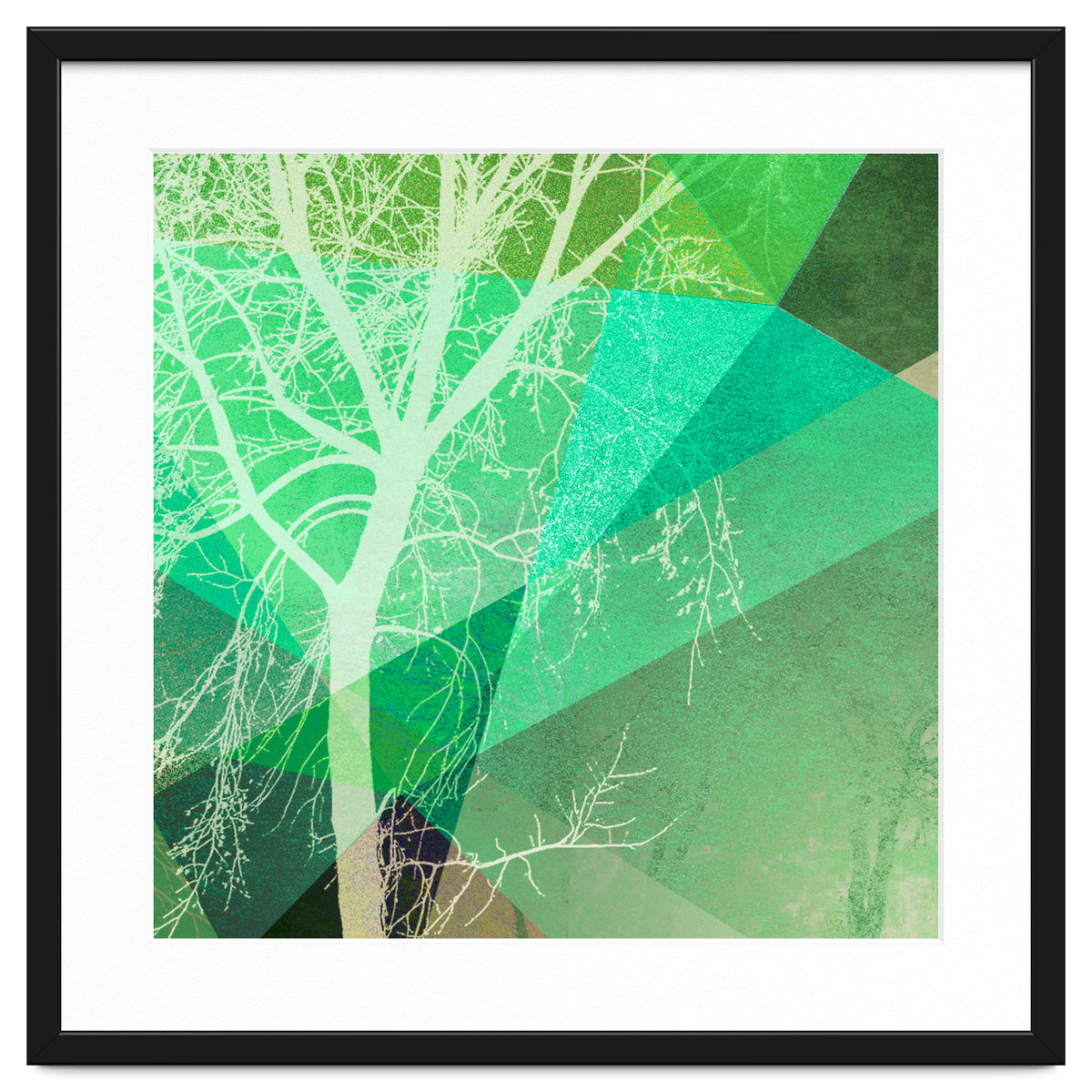 P22-B3 Trees And Triangles