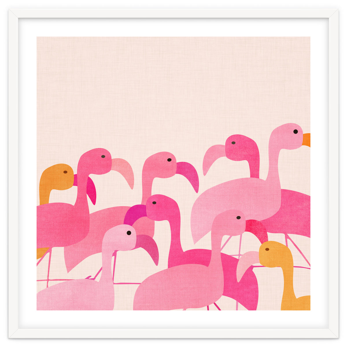 Florida Flamingos
