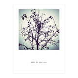just as you are (Print Only) thumbnail