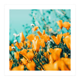 Nyla (Print Only) thumbnail