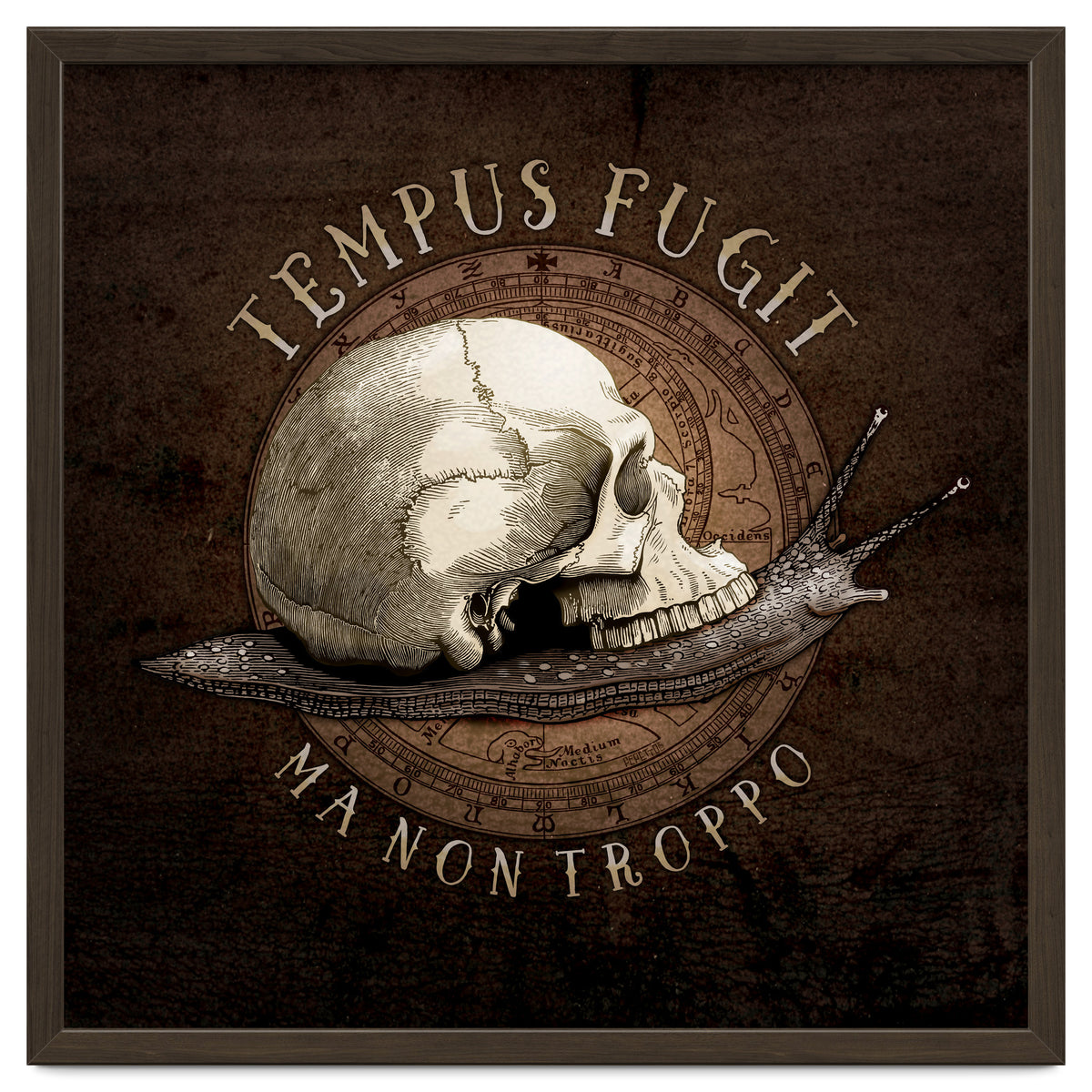 Tempus Fugit (ma non troppo)