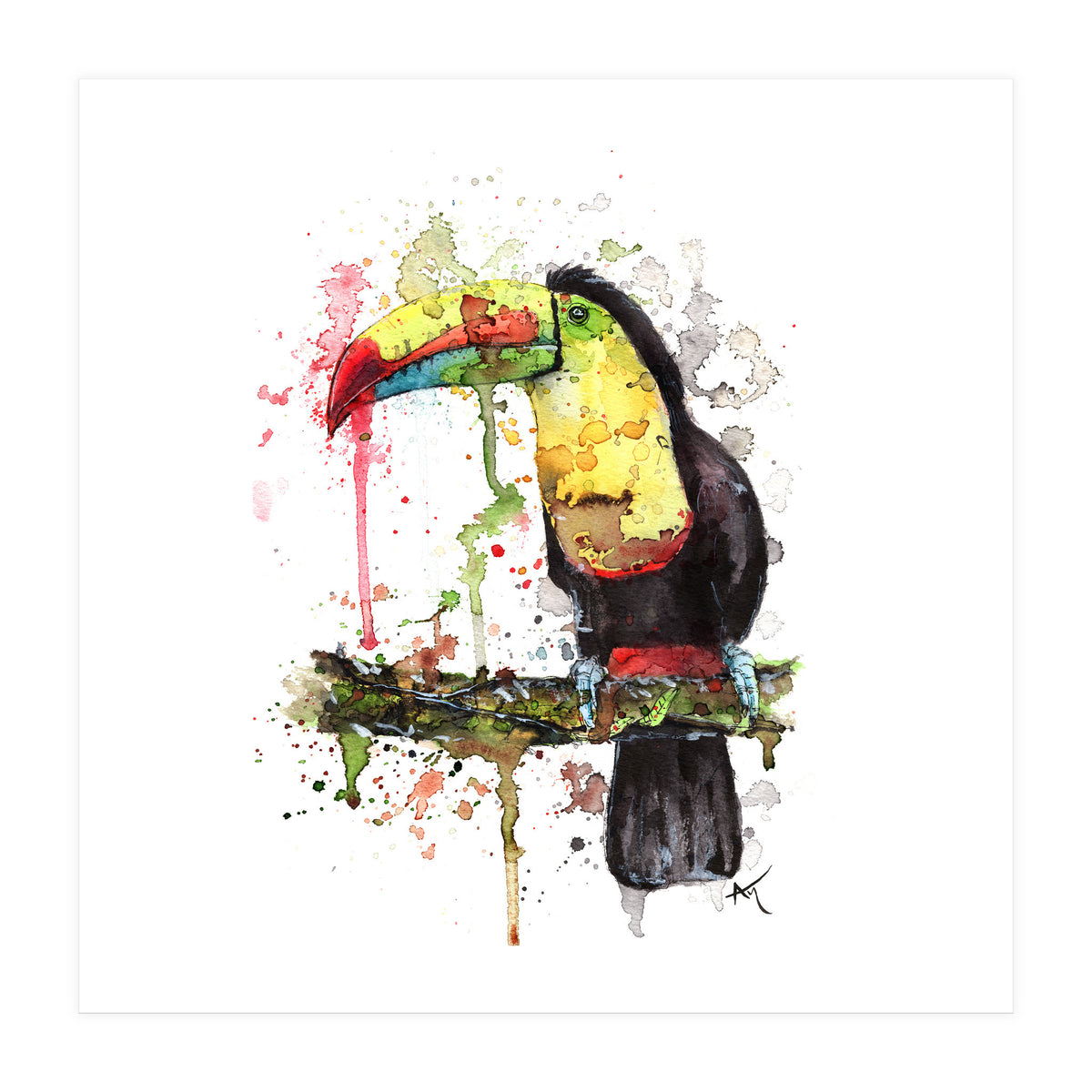 Toucan - Wildlife Collection (Print Only)