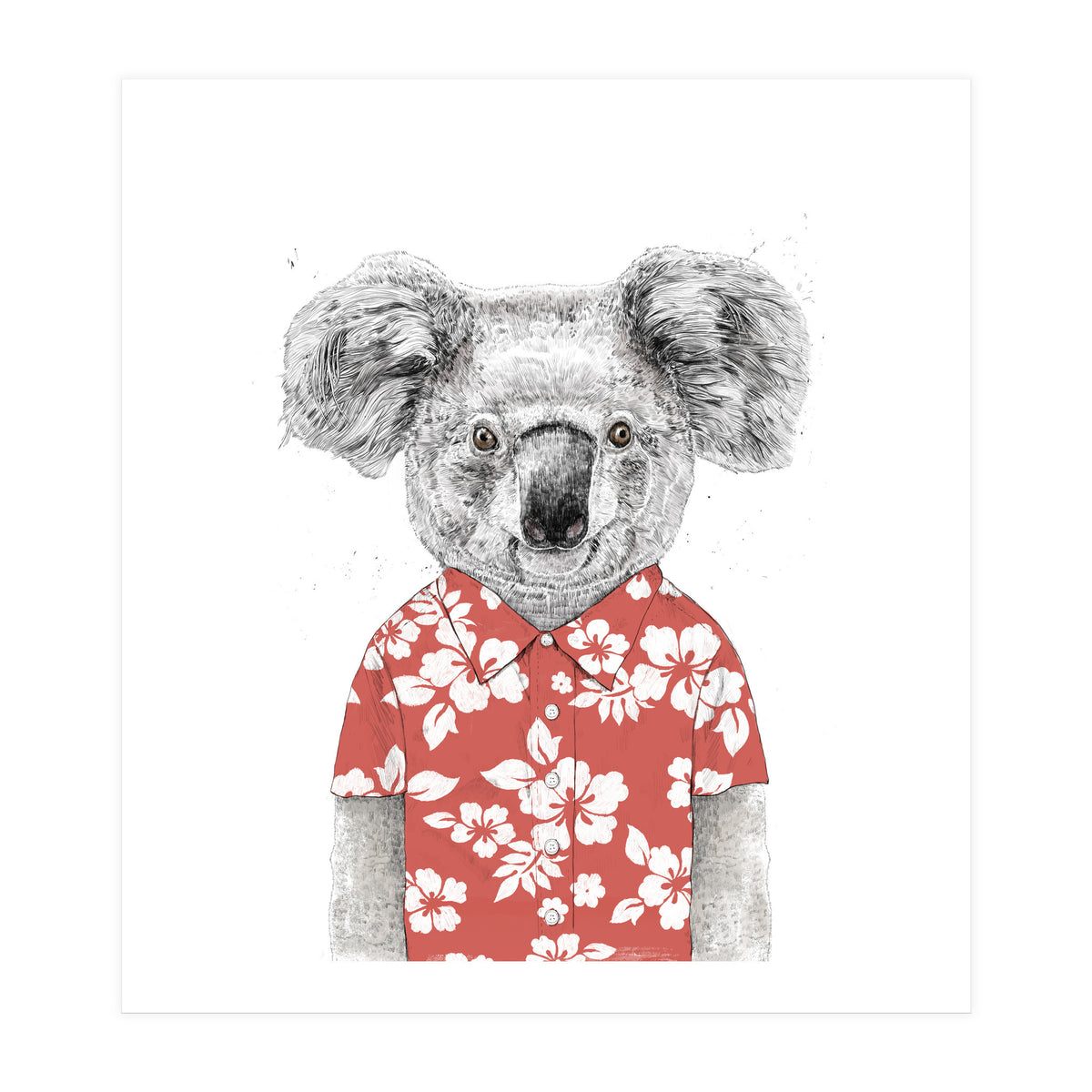 Summer Koala  (Print Only)