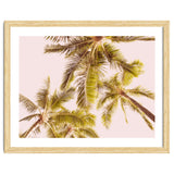 Blush Pink Boho Palm Trees thumbnail