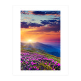 Nature (Print Only) thumbnail