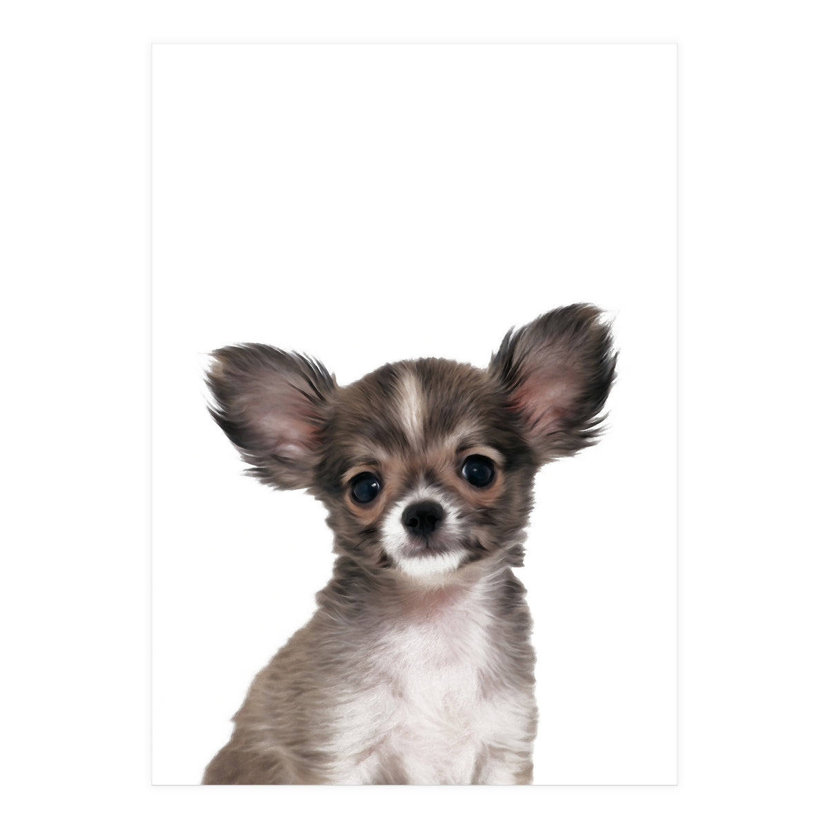 Chihuahua (Print Only)