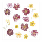 Pressed Flowers (Print Only) thumbnail