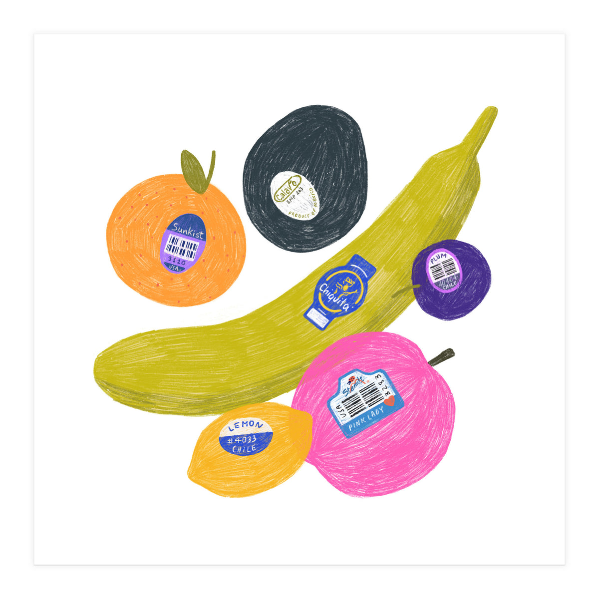 Fruit Stickers Square (Print Only)
