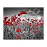 Idyllic Field of Poppies with Sun (Print Only) thumbnail
