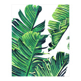Banana Tree Leaves (Print Only) thumbnail