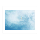 Seagull (Print Only) thumbnail