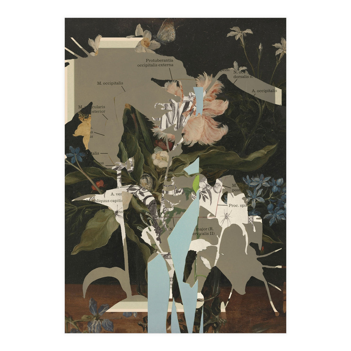 The First Plant · D2 (Print Only)