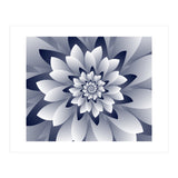 White Floral (Print Only) thumbnail