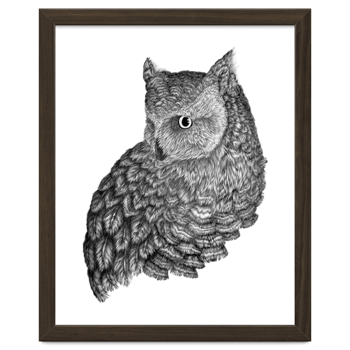 A Friend For Forsythe